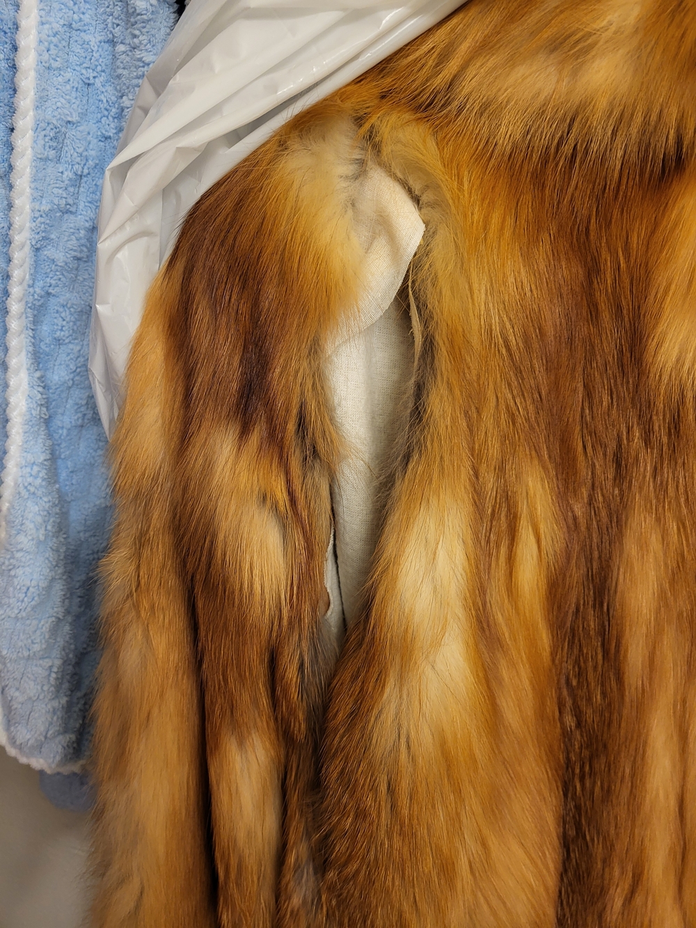 Red Fox Fur Jacket Craft/sewing Practice. - Picture 4 of 6